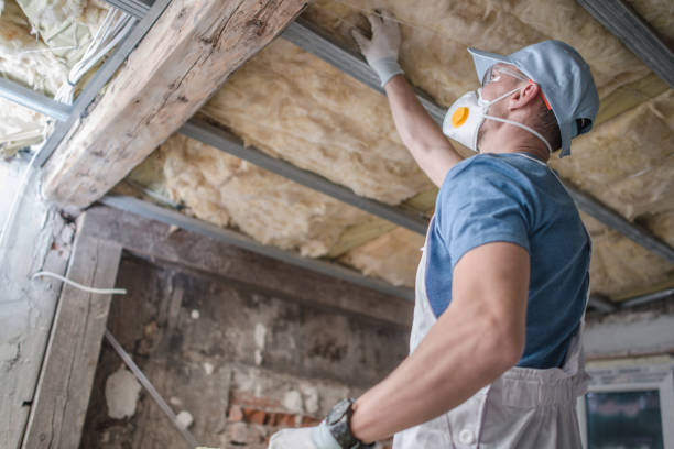 Best Attic Insulation Installation  in South Point, OH