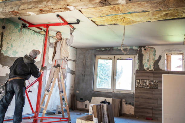 Best Insulation Repair Services  in South Point, OH