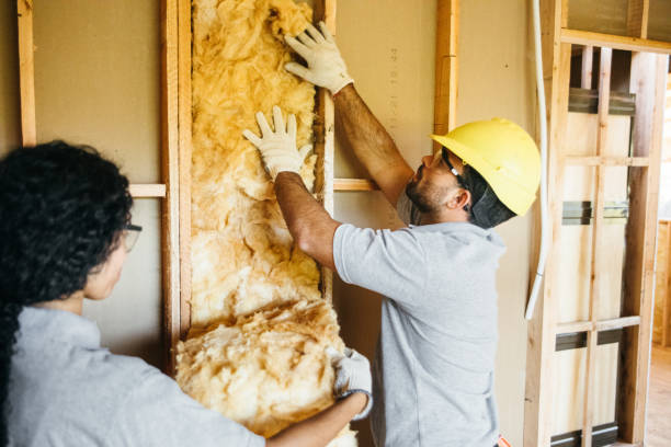 Best Insulation Contractors for Homes  in South Point, OH