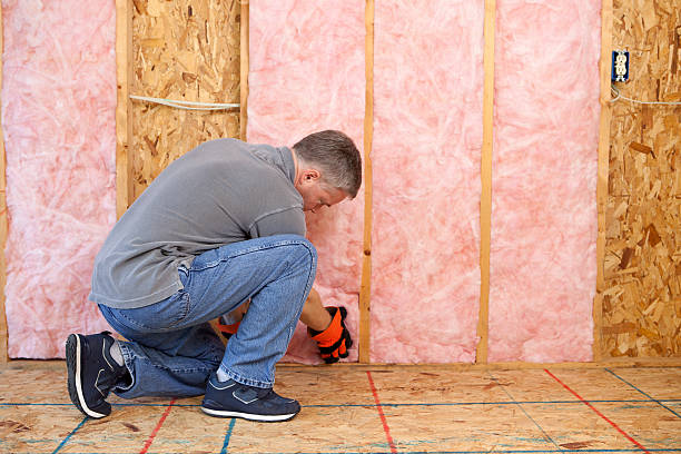 Best Residential Insulation Services  in South Point, OH